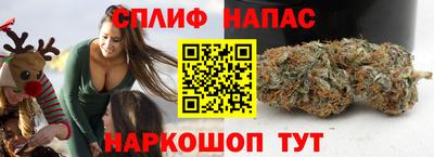 шишки Усть-Илимск