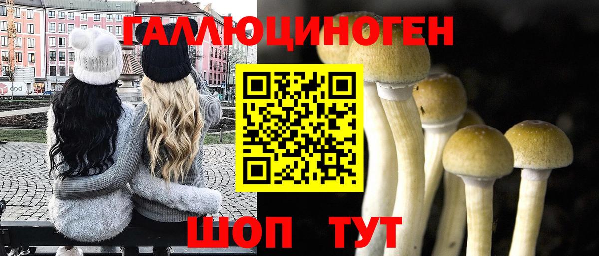 Галлюциногенные грибы Psilocybine cubensis  Вход с VPN  Новочебоксарск 