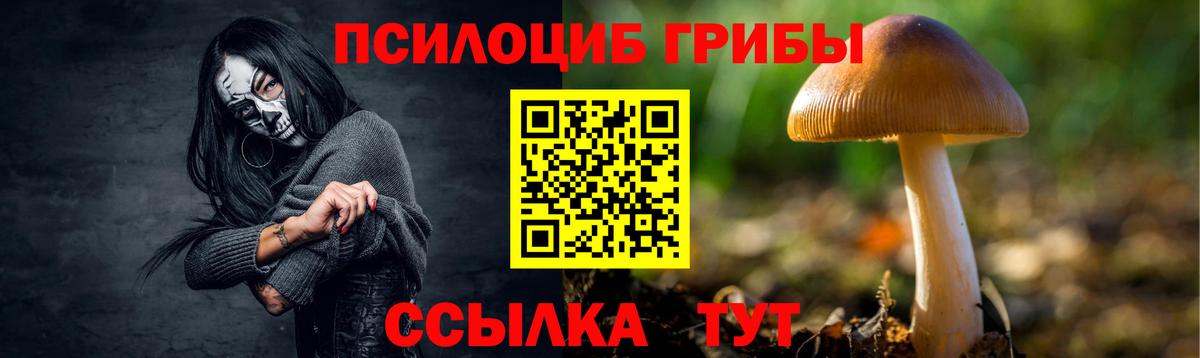 Галлюциногенные грибы мицелий Новочебоксарск